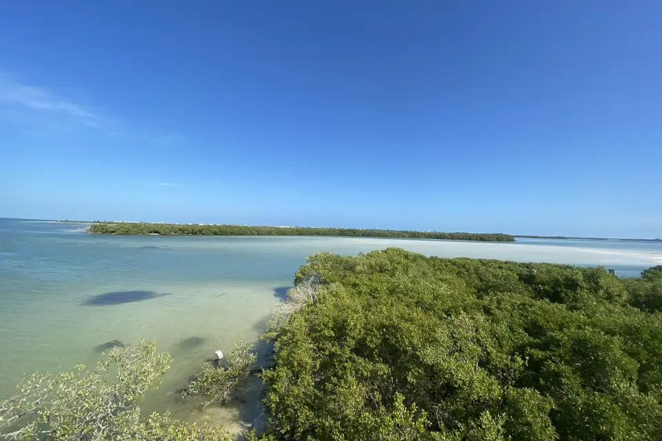 Lis'Aventure — photo 6