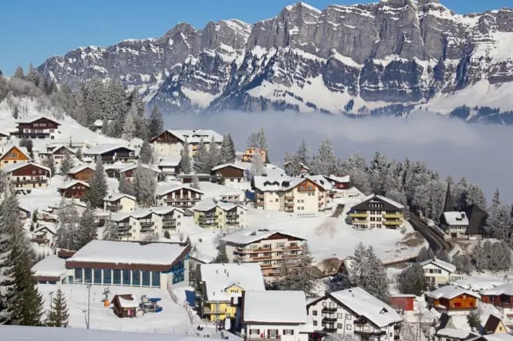 Lis'Aventure — photo 5