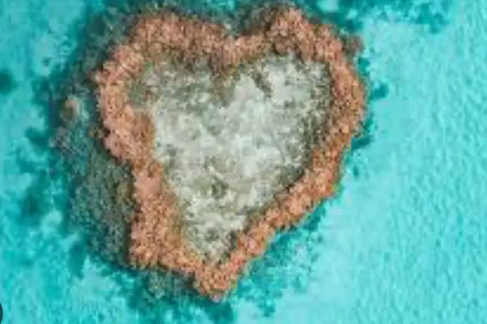 Lis'Aventure — photo 2