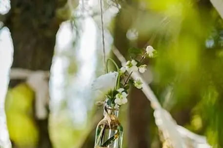 Facile Fête Déco — photo 2