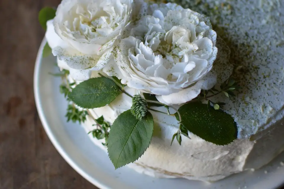 Alabanane — photo 3