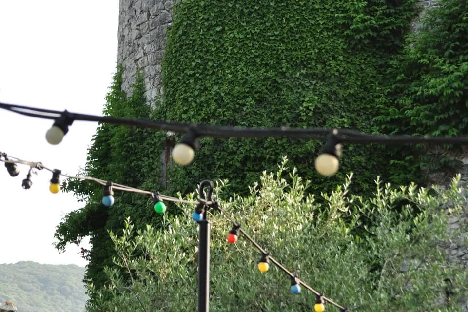 Domaine de Blancardy — photo 3