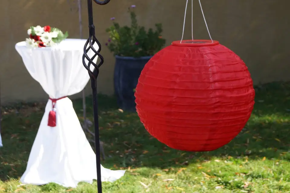 Patrice Le Duc — photo 5