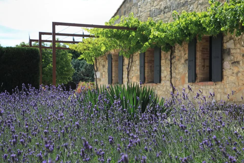 Domaine de Chanteperdrix — photo 3