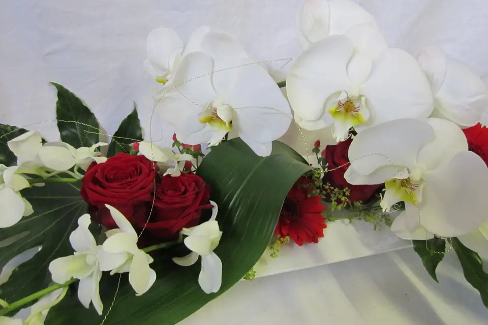 Jamais100Fleurs — photo 4