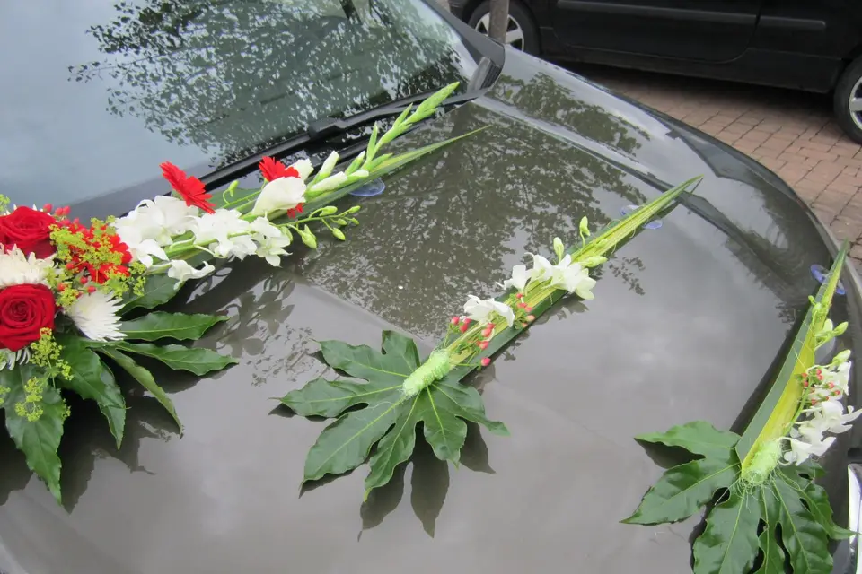 Jamais100Fleurs — photo 5