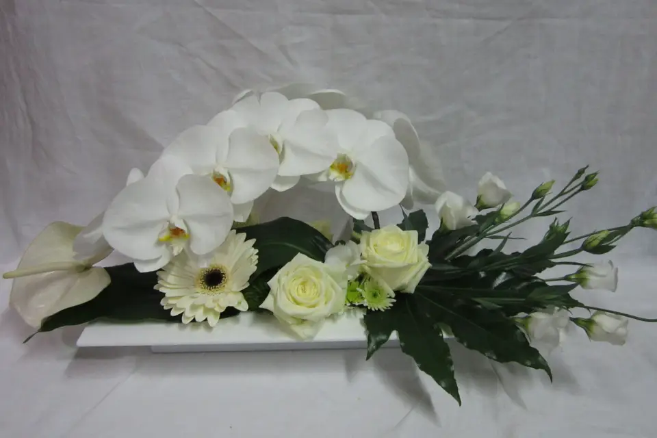 Jamais100Fleurs — photo 6