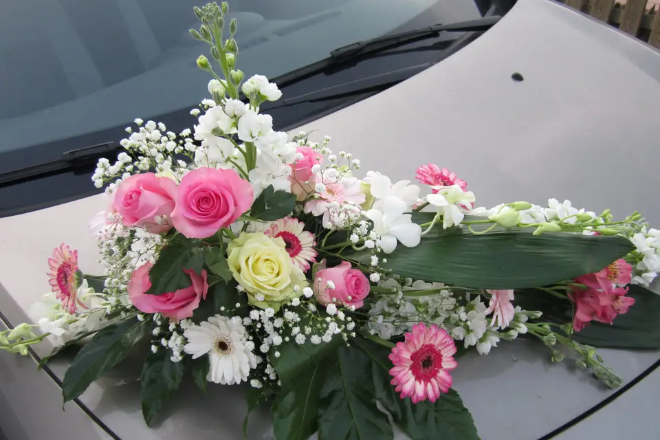 Jamais100Fleurs — photo 3