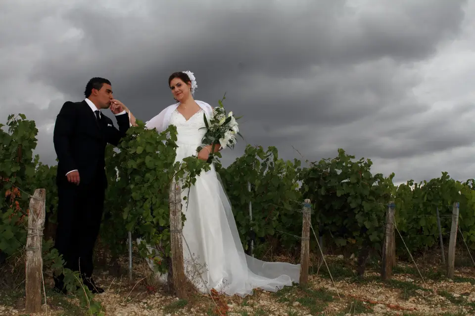 Photo Art Lab — photo 4