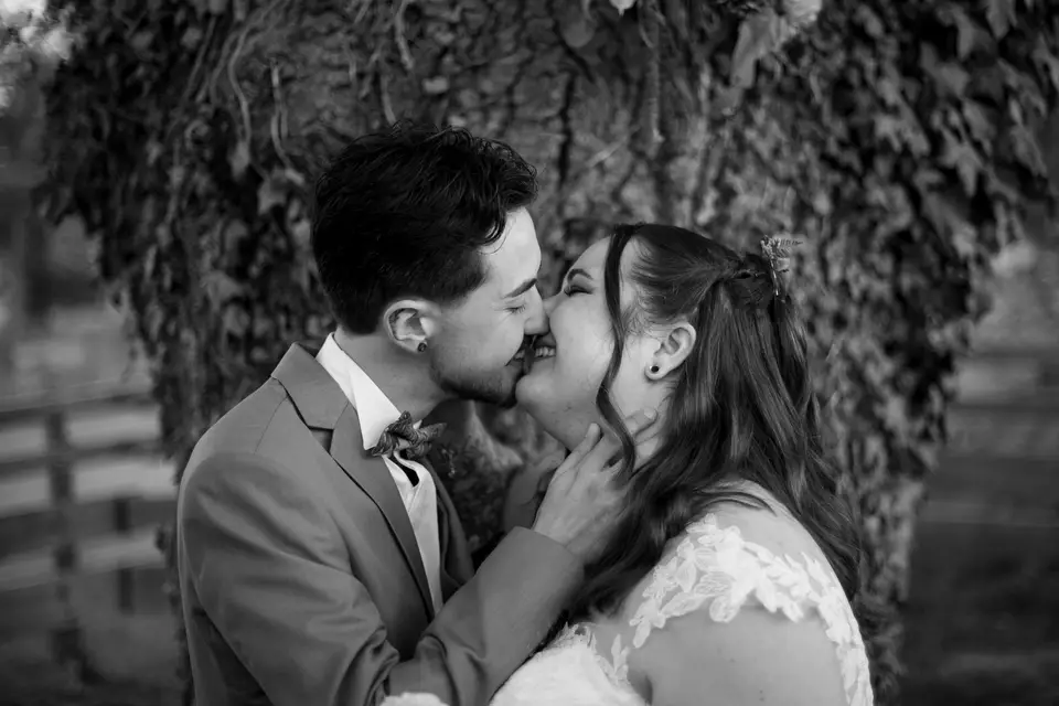 L'Agence Pétillette