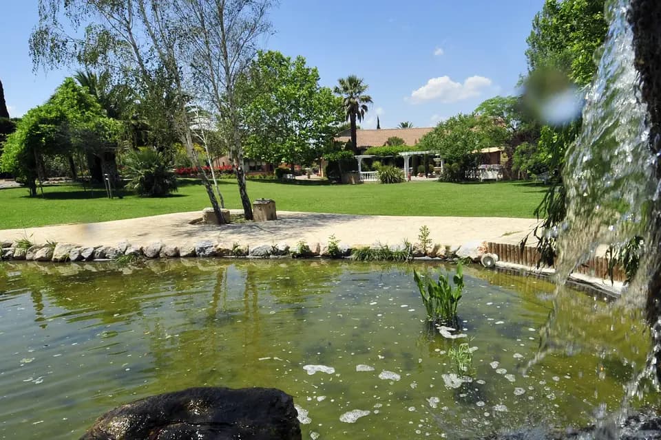 Le Clos des Lys — photo 2