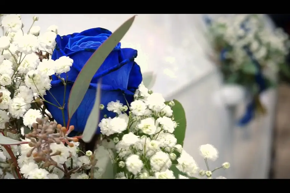 Film en boîte — photo 4