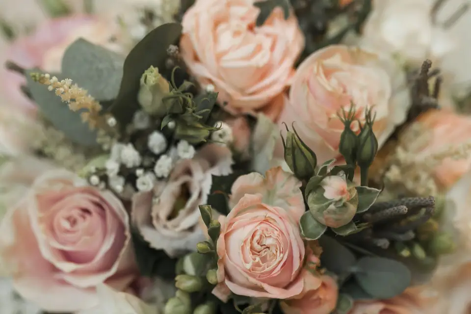 DST Studio — photo 4