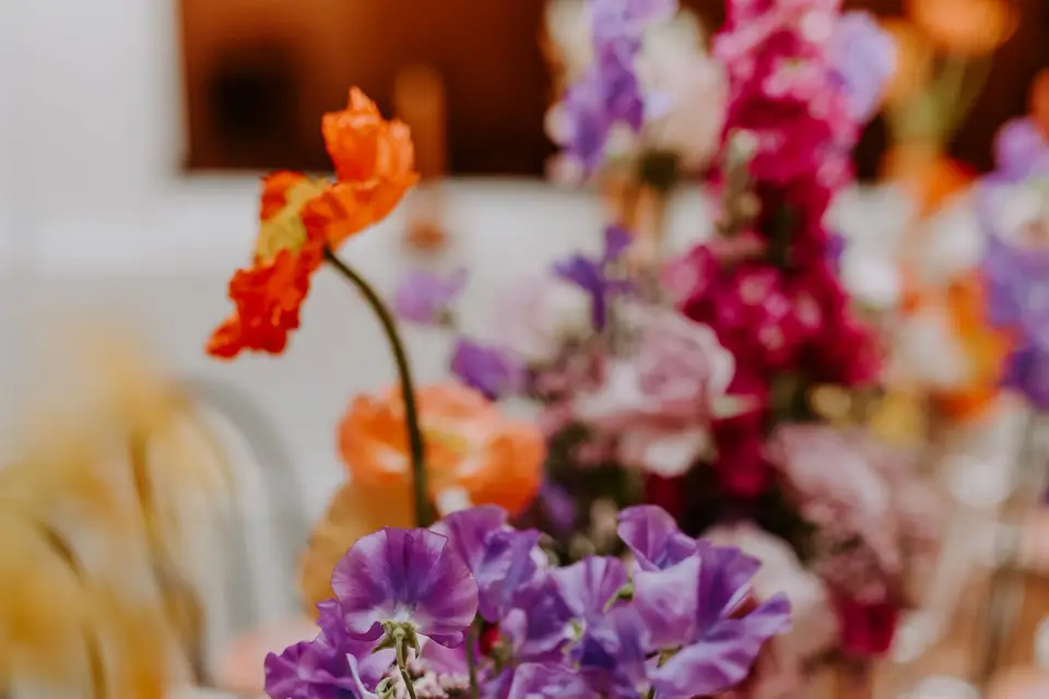 Dahlia Mon Amour — photo 3