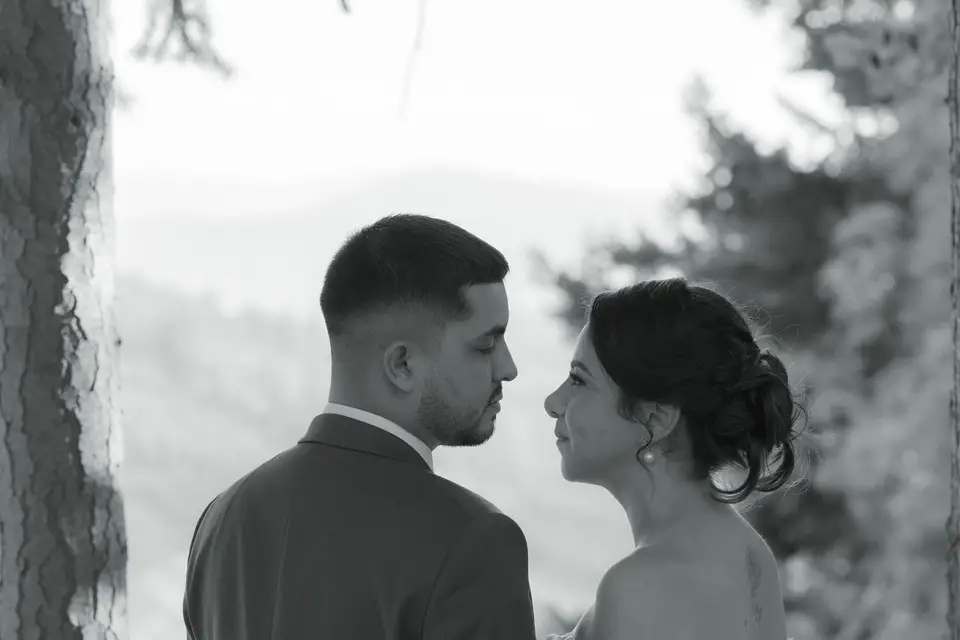 Baccam Film — photo 8