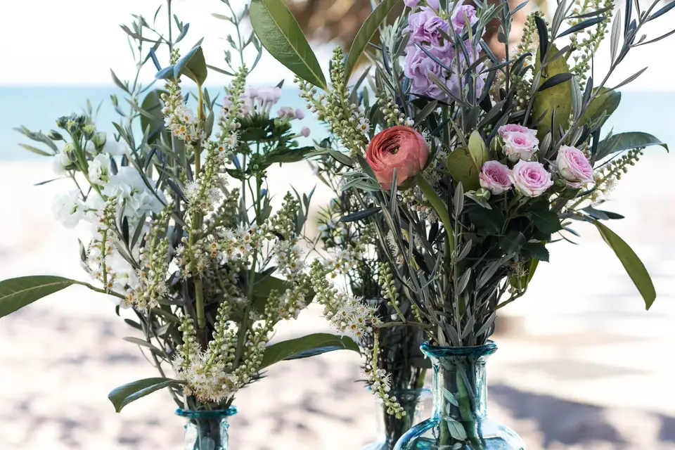 Paola Cazenave — photo 6