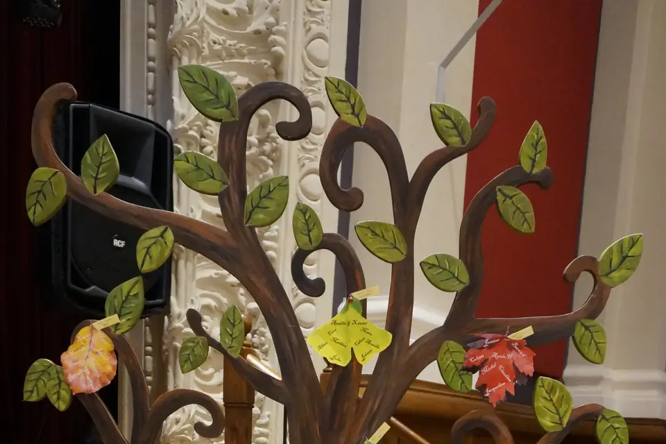 No-Stress — photo 5