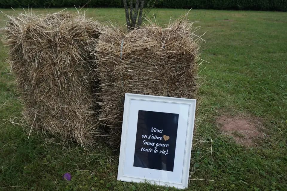 No-Stress — photo 8