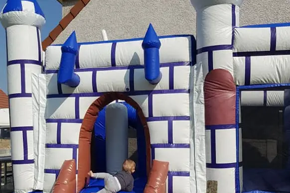 kid'anim — photo 2