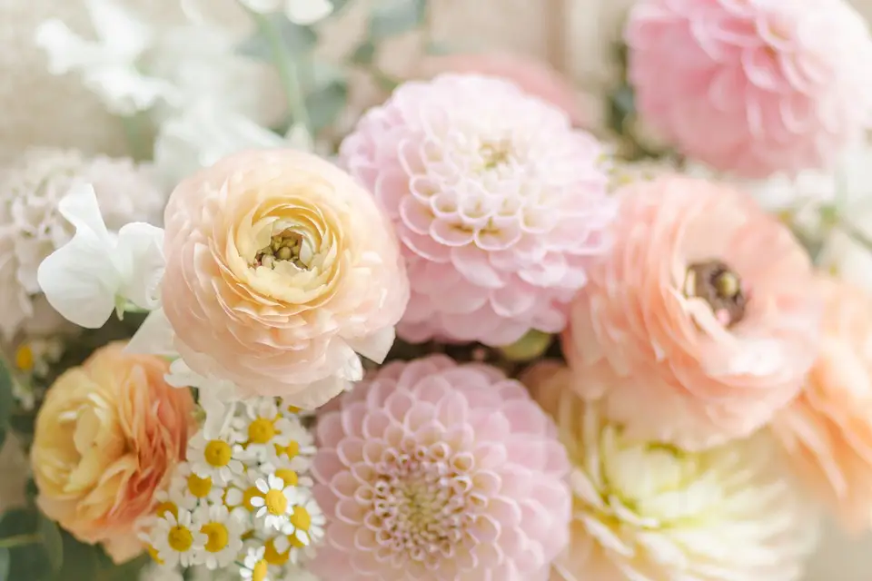 DR - Fleuriste d'événements — photo 4