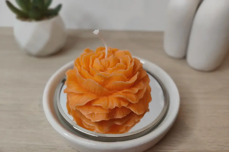 Essences et Lumières — photo 5