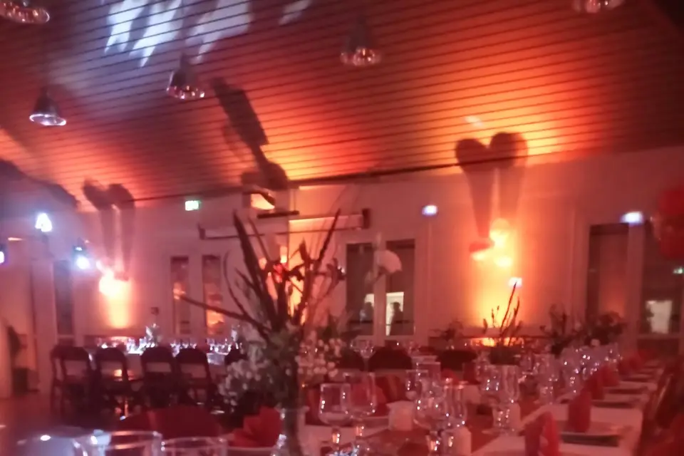 Pascal Syryn — photo 5