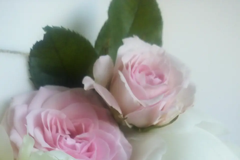 Les Délices de Marion — photo 8