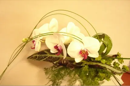 A Fleur d'Eux — photo 8