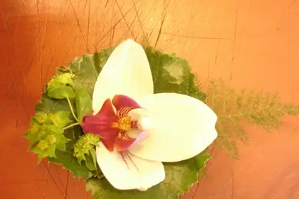 A Fleur d'Eux — photo 4