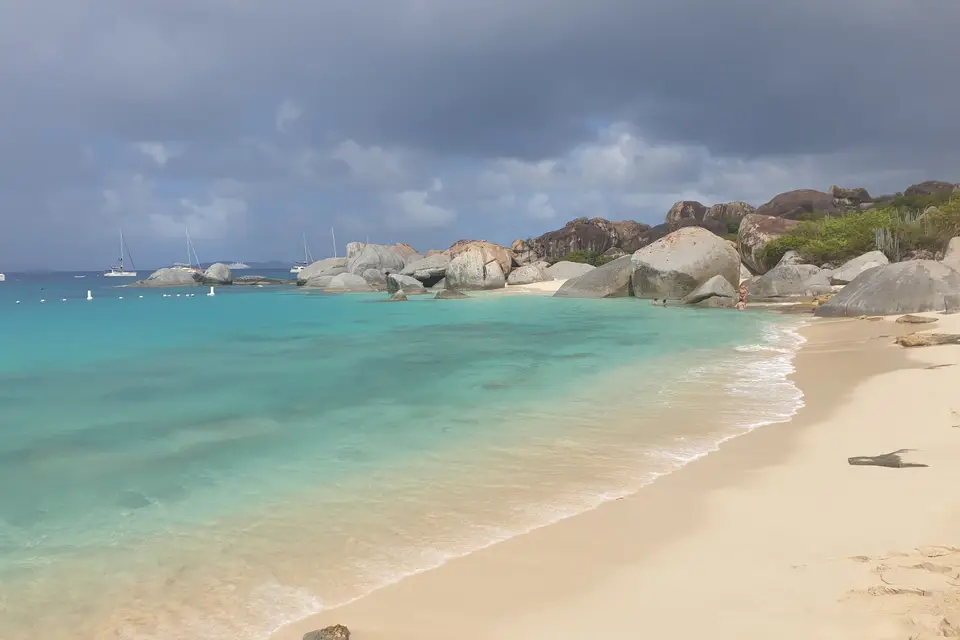 In Fine Delphine Voyages — photo 2