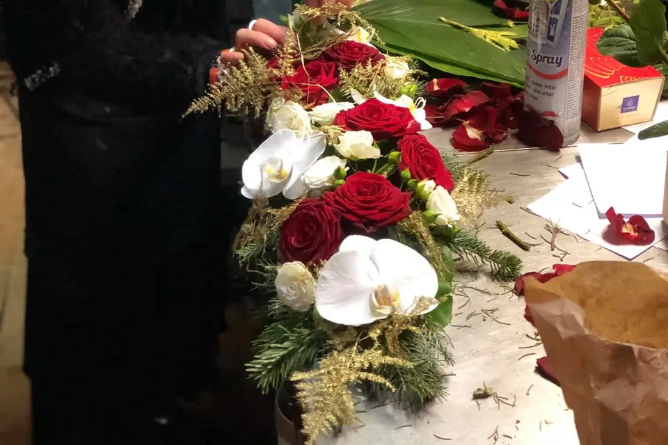 Amarylis — photo 5