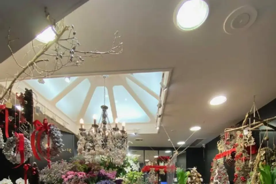 Amarylis — photo 4