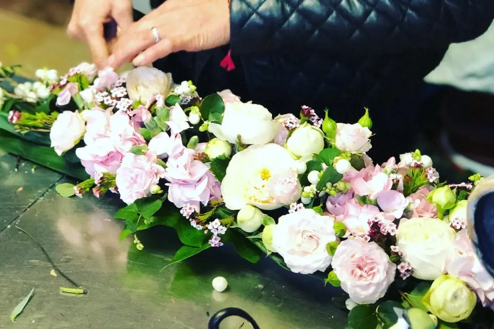 Amarylis — photo 6