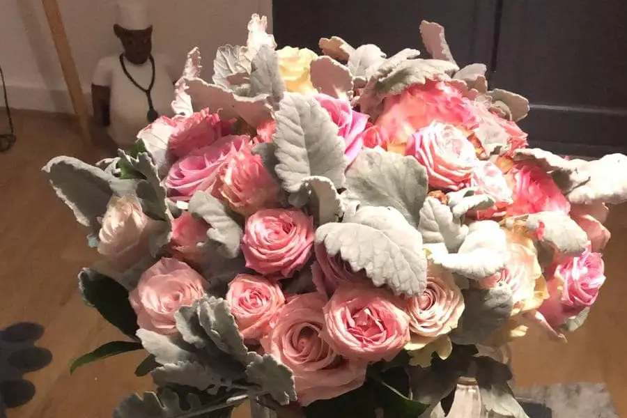 Amarylis — photo 8