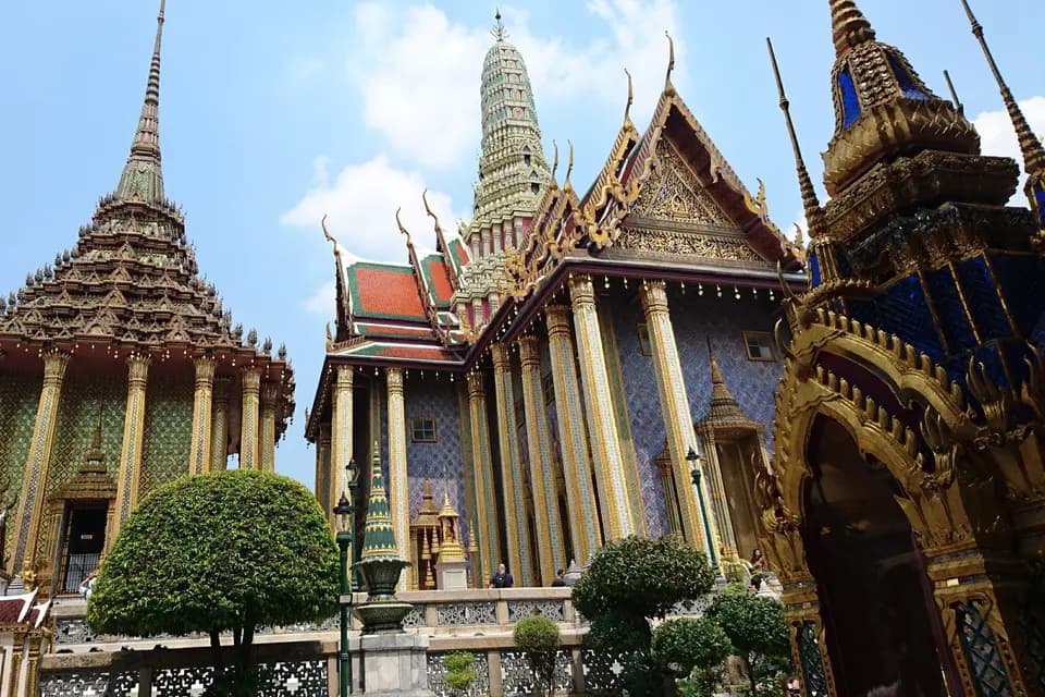 In Fine Delphine Voyages — photo 3