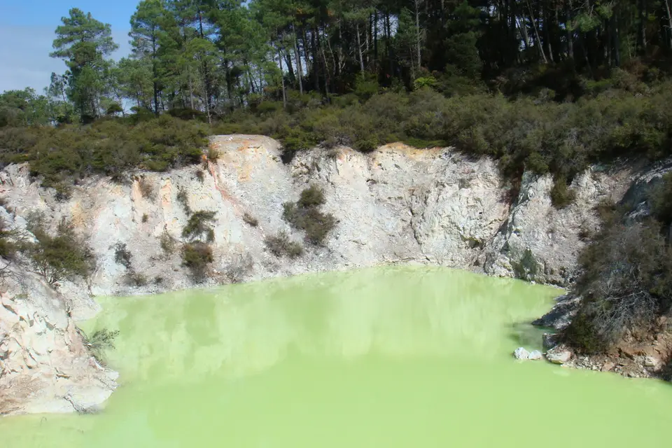 In Fine Delphine Voyages — photo 4