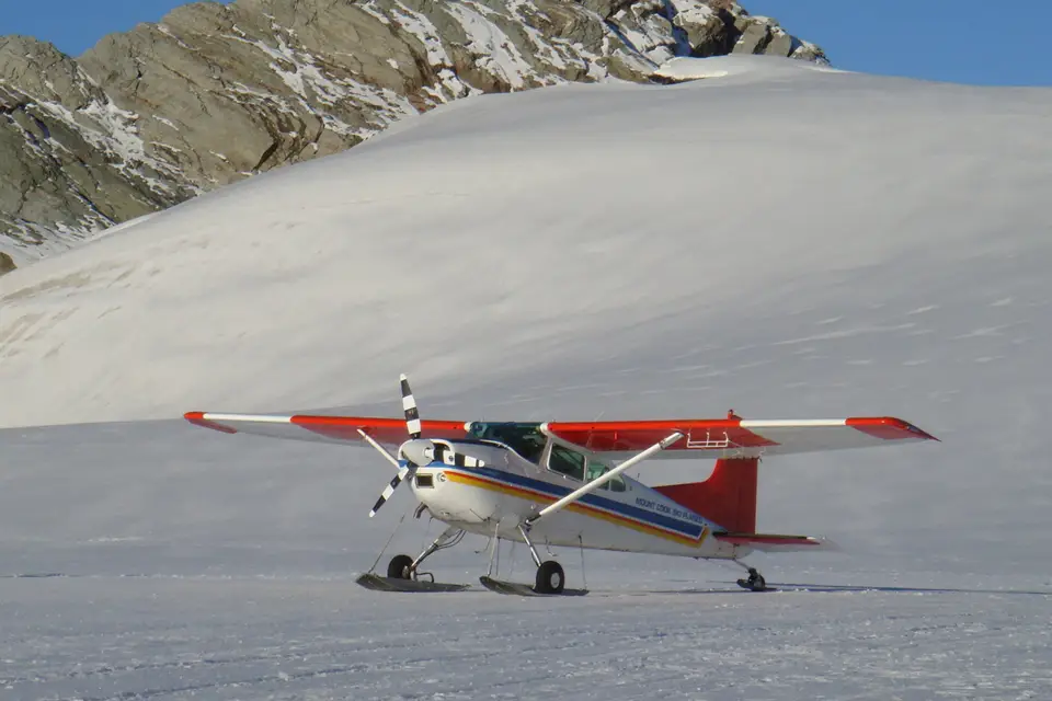 In Fine Delphine Voyages — photo 6