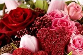 Amandine Fleurs — photo 7