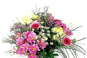 Amandine Fleurs — photo 2