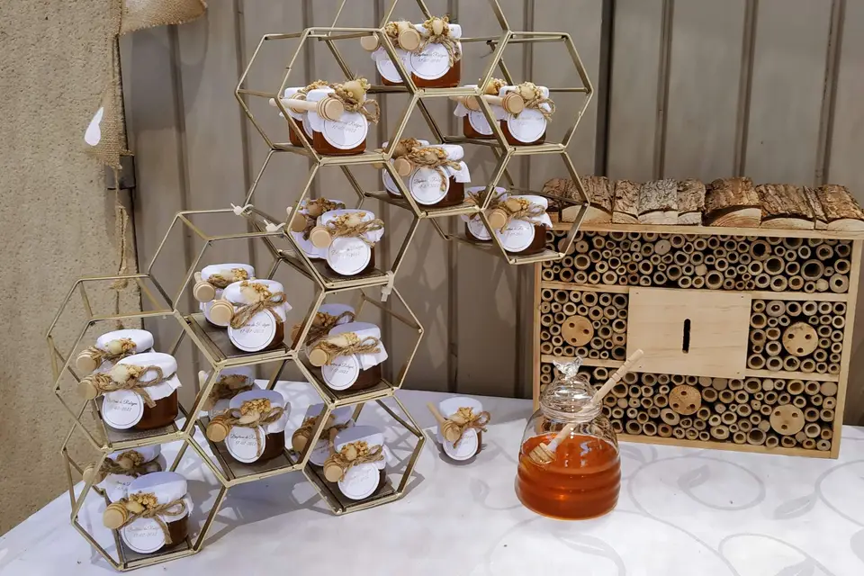 MLV-Event — photo 1