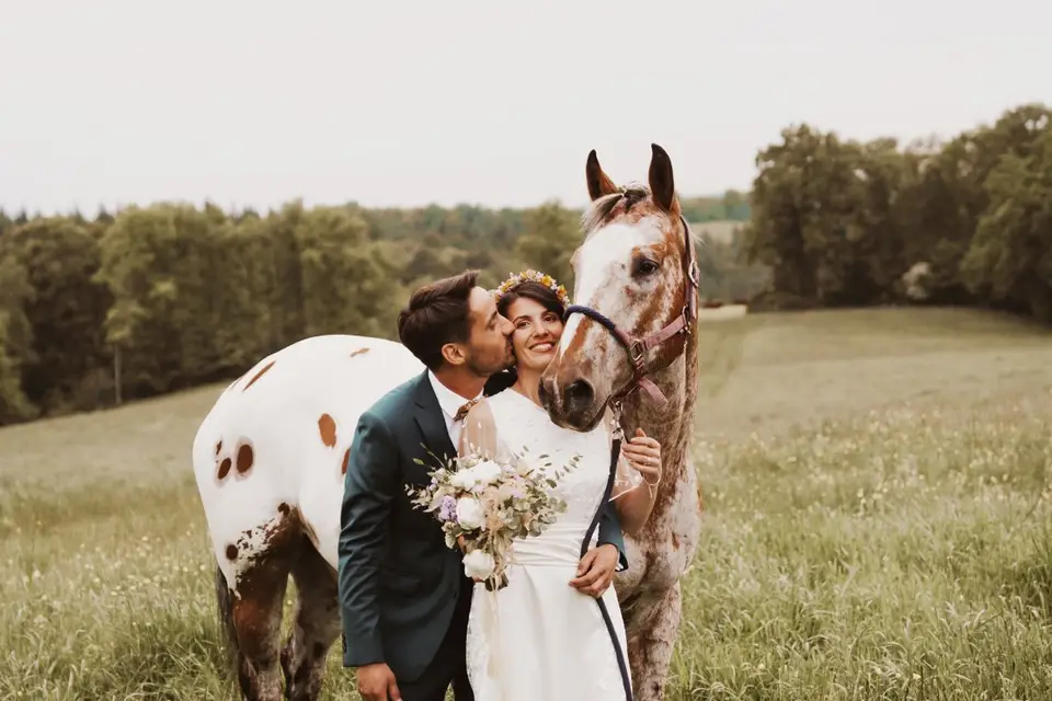 Noble Nuptials — photo 7