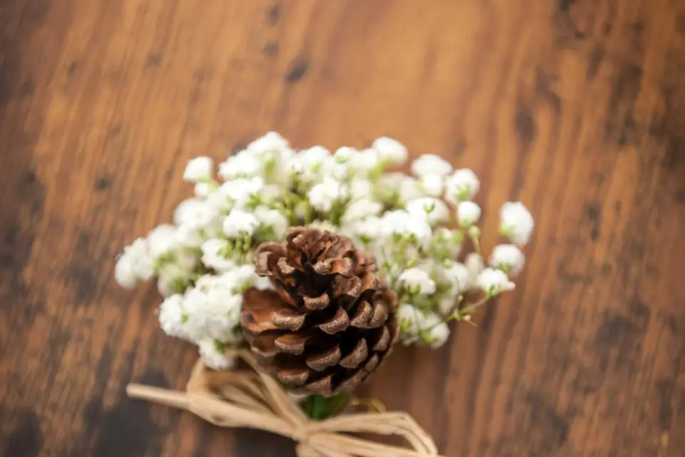 Fleurs Bonheur — photo 6