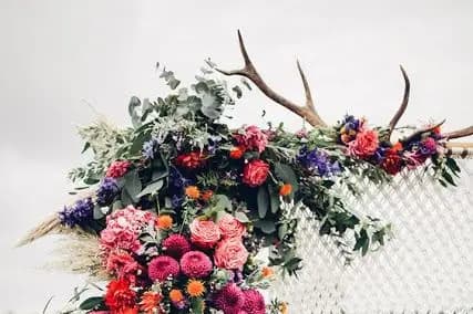 Trésors de Vie — photo 5