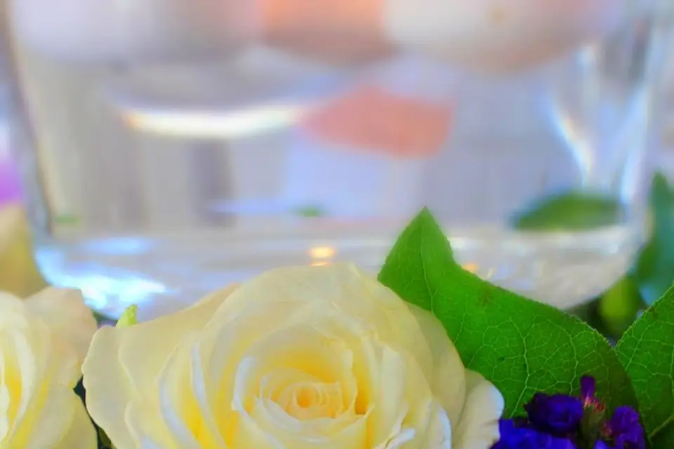 The Best Events - Realizingdreamss — photo 7