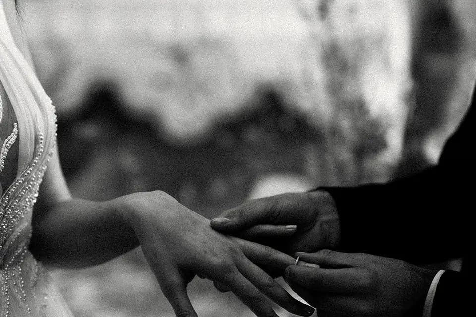 Lgh Photo — photo 7