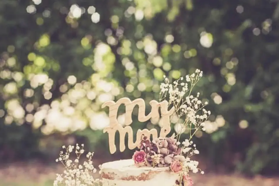 Alexpatisse — photo 3