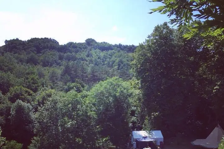 Belle Tente — photo 6