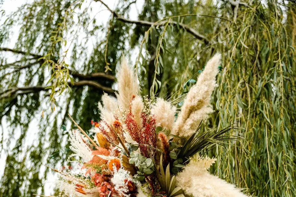 Amo & You — photo 3