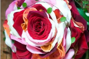 Dominique Giannelli — photo 3