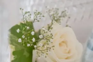 Dominique Giannelli — photo 5